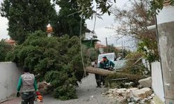 Pamukkale Belediyesi Ekiplerinden Fırtına ve Sağanak Yağışa Hızlı Müdahale