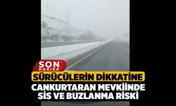 Sürücülerin Dikkatine: Cankurtaran Mevkiinde Sis ve Buzlanma Riski