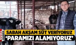 Süt Üreticisi Sorucu, "Sabah Akşam Süt Veriyoruz Paramızı Alamıyoruz"