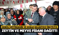 Denizli Büyükşehir ve Honaz Belediyesi üreticiye zeytin ve meyve fidanı dağıttı