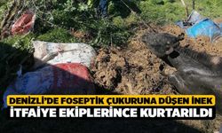 Denizli’de foseptik çukuruna düşen inek itfaiye ekiplerince kurtarıldı