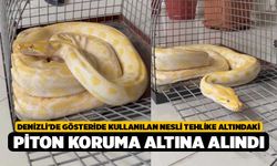 Denizli'de gösteride kullanılan nesli tehlike altındaki piton koruma altına alındı