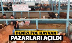 Denizli'de Hayvan Pazarları Açıldı