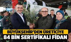 Denizli’de Zeytin Seferberliği: 84 Bin Fidan Toprakla Buluştu!