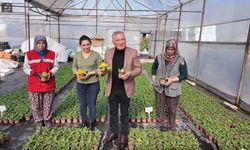 Honaz'da 8 Mart'a özel 8 bin çiçek kadınlara dağıtılacak