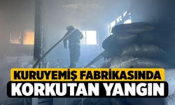 Kuruyemiş fabrikasında korkutan yangın