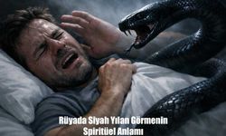Rüyada Siyah Yılan Görmenin Spiritüel Anlamı