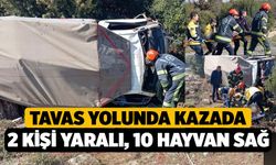Tavas Yolunda Kazadan; 2 Kişi Yaralı 10 Hayvan Sağ Çıktı