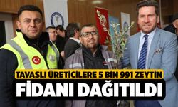Tavaslı üreticilere 5 bin 991 zeytin fidanı dağıtıldı