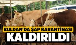 Buldan'da şap karantinası kaldırıldı