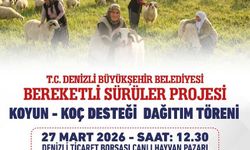 Denizli Büyükşehir, 582 Üreticiye 1200 Adet Koyun-Koç Dağıtacak