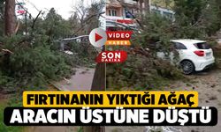Tavas'ta Fırtınanın Devirdiği Ağaç Aracın Üstüne Düştü, Yol Kapandı