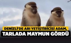 Denizli'de Arı Yetiştiricisi Adam, Tarlada Maymun Gördü