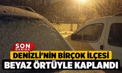 Denizli'nin Birçok İlçesi Beyaz Örtüyle Kaplandı