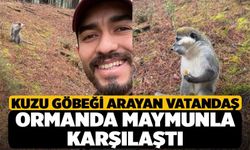 Kuzu Göbeği Arayan Vatandaş Ormanda Maymunla Karşılaştı