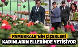 Pamukkale’nin Çiçekleri Kadınların Ellerinde Yetişiyor