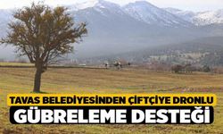 Tavas Belediyesinden çiftçiye dronlu gübreleme desteği