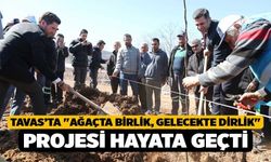 Tavas’ta "Ağaçta Birlik, Gelecekte Dirlik" projesi hayata geçti