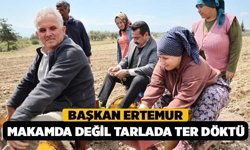 Başkan Ertemur, Makamda Değil Tarlada Ter Döktü