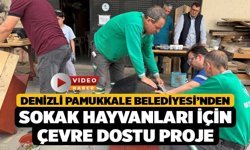 Denizli Pamukkale Belediyesi’nden Sokak Hayvanları İçin Çevre Dostu Proje