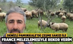 Denizli Pamukkale’de Çeşme Sakızı ile France Melezlemesiyle Rekor Verim