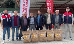 Denizli’de Çiftçiye %50 Hibeli Ayçiçeği Tohumu Desteği
