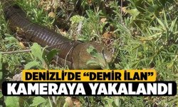 Denizli'de “Demir İlan” kameraya yakalandı