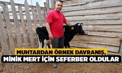 Muhtardan Örnek Davranış, Minik Mert İçin Seferber Oldular