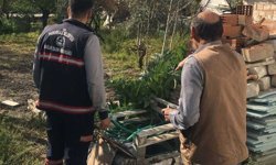 Pamukkale Belediyesi’nden Sivrisineklere Karşi “Birlikte Mücadele” Çağrisi