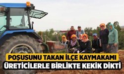 Poşusunu Takan İlçe Kaymakamı Üreticilerle Birlikte Kekik Dikti