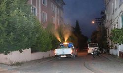 Denizli Pamukkale’de 61 Mahallede Gece İlaçlama Başladı