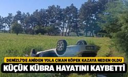 Denizli’de Aniden Yola Çıkan Köpek Kazaya Neden Oldu, Küçük Kübra Hayatını Kaybetti