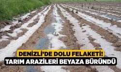 Denizli’de dolu felaketi! Tarım arazileri beyaza büründü