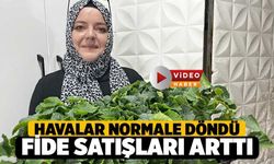 Denizli'de Fide Satışları Arttı