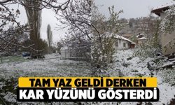 Denizli’de Kar Yağışı Etkilisini Gösterdi