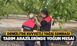 Denizli’de Kuvvetli Yağış Sonrası Tarım Arazilerinde Yoğun Mesai