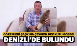 Görenleri Şaşkına Çeviren Dev Kuzu Göbeği Denizli'de Bulundu