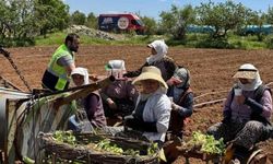 Tarım işçilerini serinleten ikram
