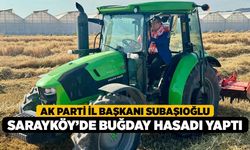 AK Parti İl Başkanı Subaşıoğlu, Sarayköy’de buğday hasadı yaptı