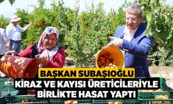 Başkan Subaşıoğlu Kiraz ve Kayısı Üreticileriyle Birlikte Hasat Yaptı