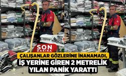 Çalışanlar Gözlerine İnanamadı, İş Yerine Giren 2 Metrelik Yılan Panik Yarattı