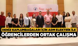 Deniz kaplumbağaları için ADM Elektrik ile öğrencilerden ortak çalışma