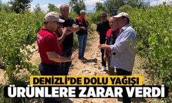 Denizli'de Dolu Yağışı Ürünlere Zarar Verdi