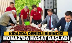 Denizli'nin Coğrafi İşaretli Gururu: Honaz'da Kiraz Hasadı Başladı!