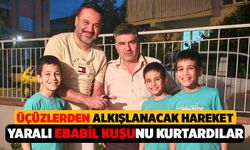Denizli Pamukkale'de Üçüz Kardeşler Yaralı Ebabil Kuşunu Kurtardı