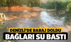 Denizli'de Baraj Doldu, Bağları Su Bastı