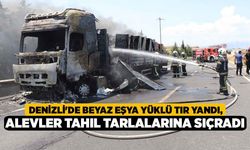 Denizli'de Beyaz Eşya Yüklü Tır Yandı, Alevler Tahıl Tarlalarına Sıçradı