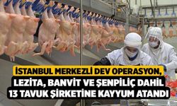 İstanbul Merkezli Dev Operasyon, Lezita, Banvit ve Şenpiliç Dahil 13 Tavuk Şirketine Kayyum Atandı