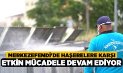 Merkezefendi'de Haşerelere Karşı Etkin Mücadele Devam Ediyor