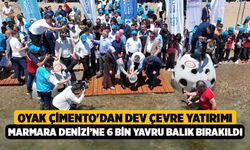 OYAK Çimento'dan Dev Çevre Yatırımı: Marmara Denizi’ne 6 Bin Yavru Balık Bırakıldı